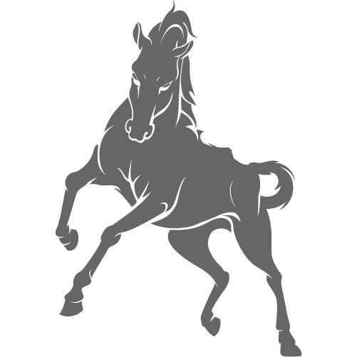 Logo Investment Insiders en gris